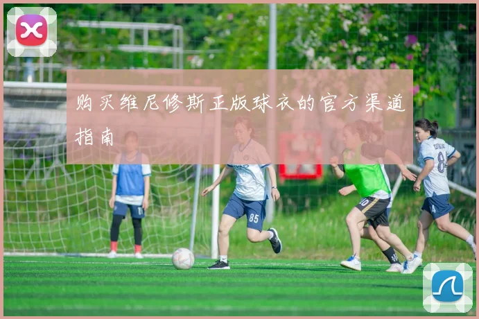 购买维尼修斯正版球衣的官方渠道指南