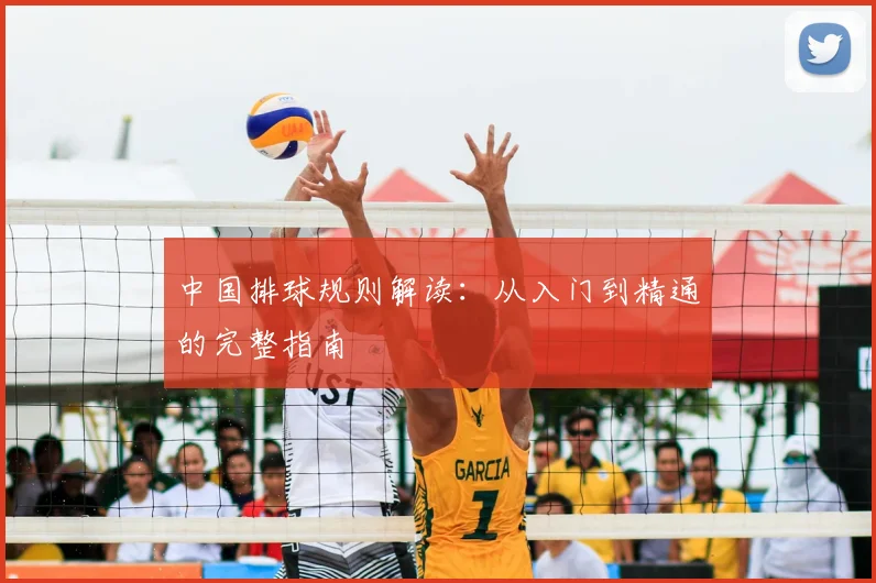 中国排球规则解读：从入门到精通的完整指南